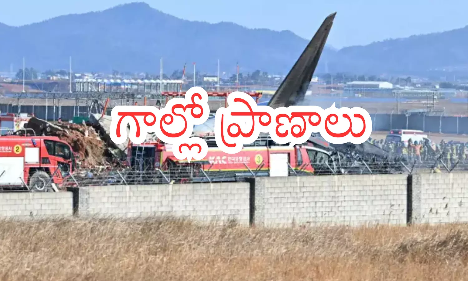 plane crash, 179 people died, two people safe, south korea