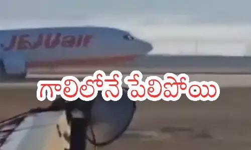 plane crash, airport, people died,south korea