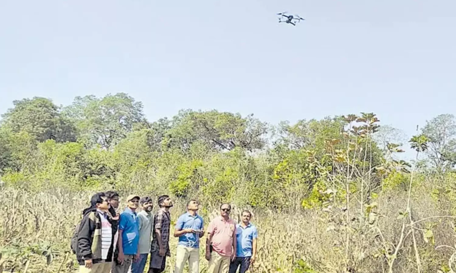 tiger,  movement, warangal district,  telangana