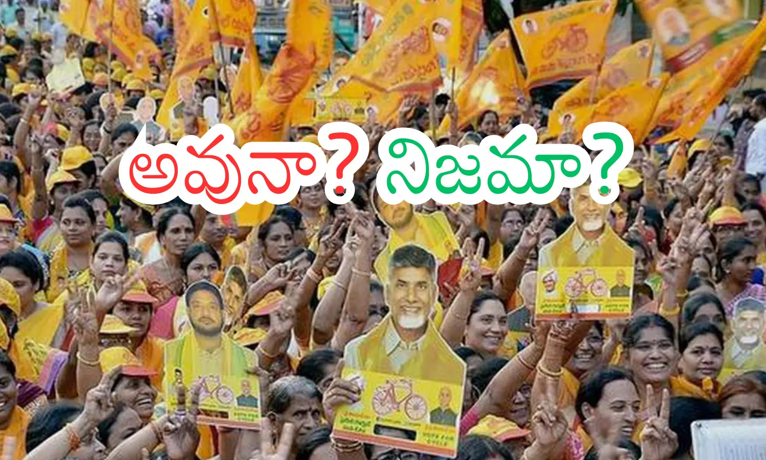 chandrababu naidu, chief minister, feedback, ap politics chandrababu naidu, chief minister, feedback, ap politics