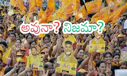 chandrababu naidu, chief minister, feedback, ap politics