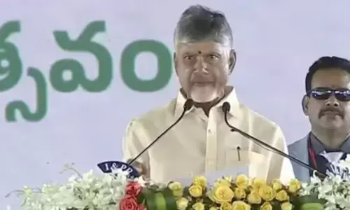 chandrababu naidu,  distribution, pensions, palnadu district