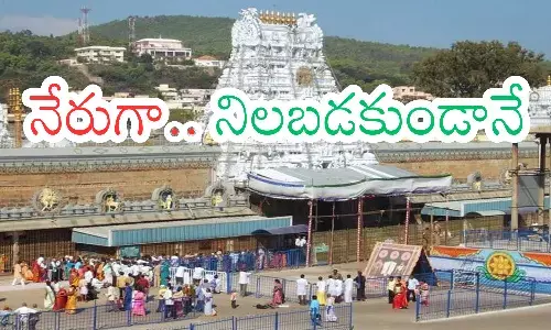 today daran time in tirumala, crowd, new year celebrations, direct line