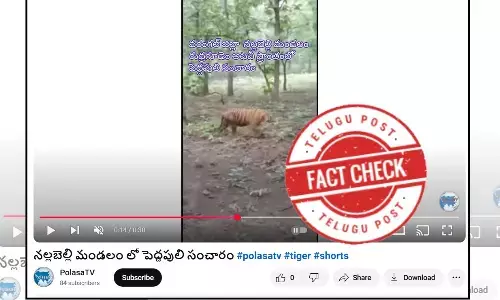 Fact Check: Viral video makes false claim about recent spotting of a tiger in Warangal district