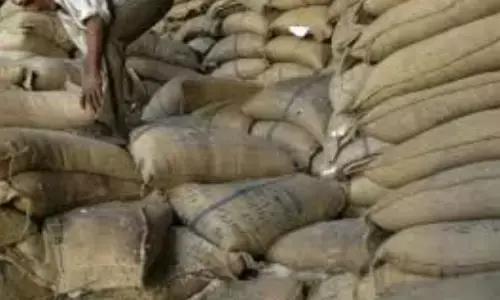 SIT, rice smuggling, changes, andhra pradesh