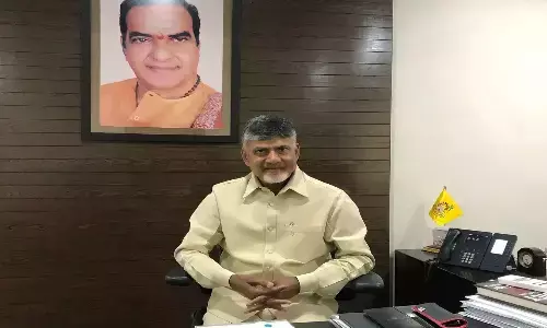 chandrababu, chief minister, telugu people, happy new year