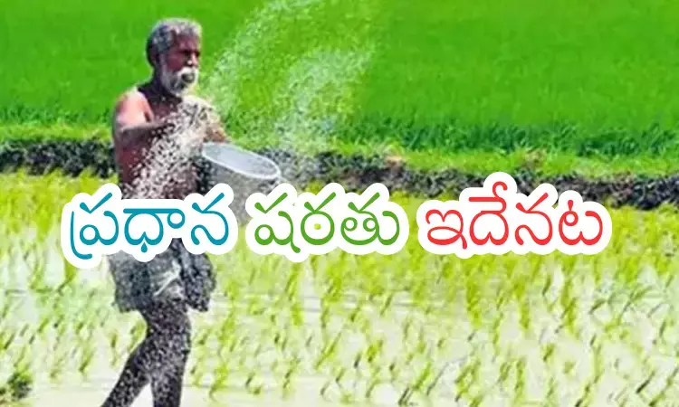 rythu bharosa, self declaration, guidelines,telangana rythu bharosa, self declaration, guidelines,telangana