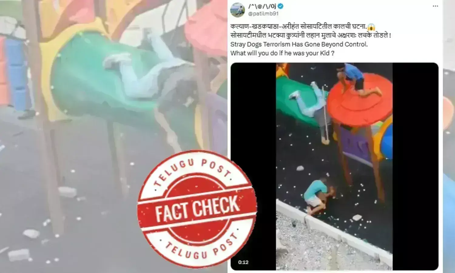 Fact Check: Viral video of dog attack is not from Kalyan but Brazil, it is misleading