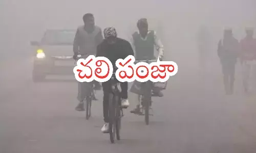 cold winds, increase, fog, telangana