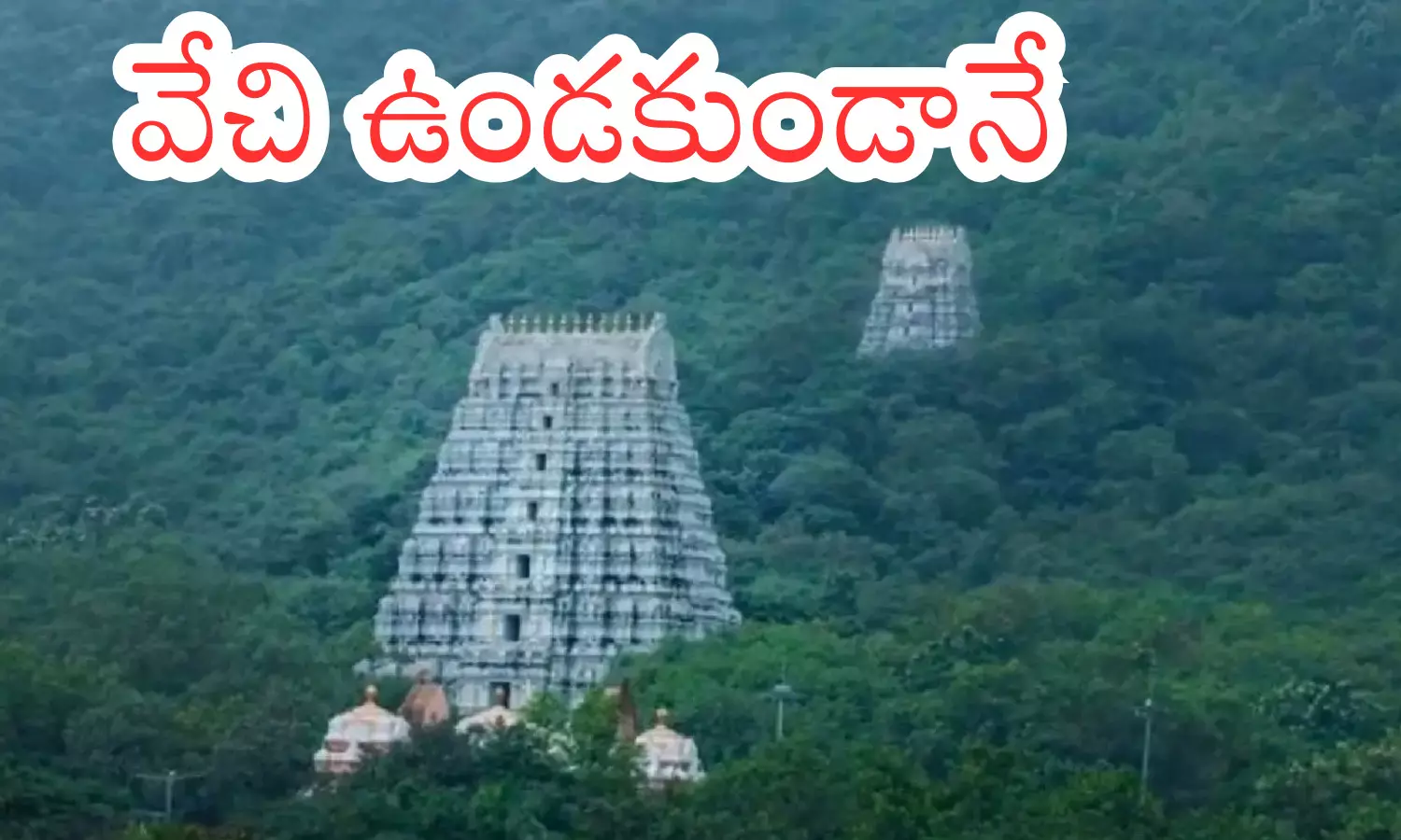 today darsan time in tirumala, crowd, devotees, monday