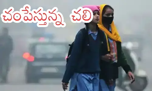 cold intensity,  increased, andhra pradesh, telagana