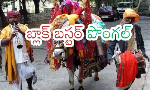 sankranti, three day, festival, andhra pradesh