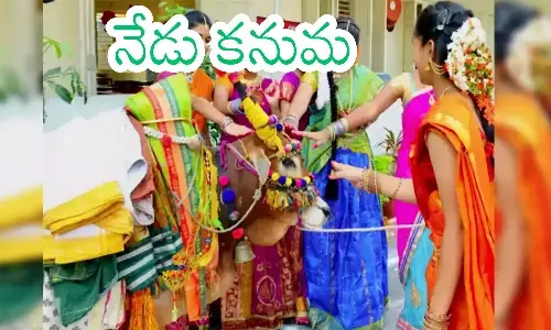 third day, sankranti festival, kanuma, andhra  pradesh