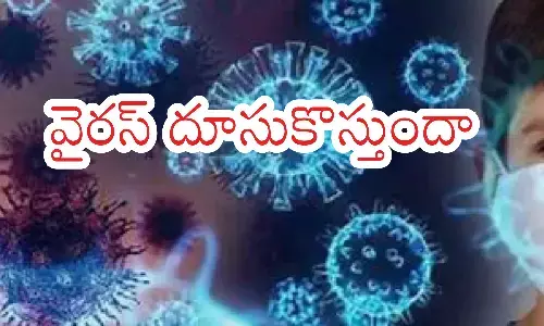 HMPV virus, increase, kumbhamela, india