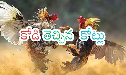 gudivada prabhakar, cock fight, tadepalligudem, rathaiah