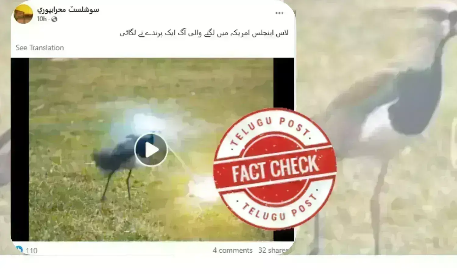 Fact Check:کیا آگ اگلنے والا پرندہ بنا لاس اینجلس کے جنگلات میں آتشزدگی کی وجہ؟ جانئے سچائی