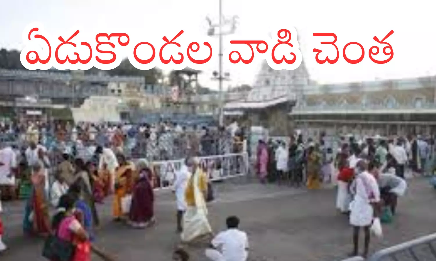 darsan time today in tirumala, divotees, saturday, vaikuntha dwara darsan