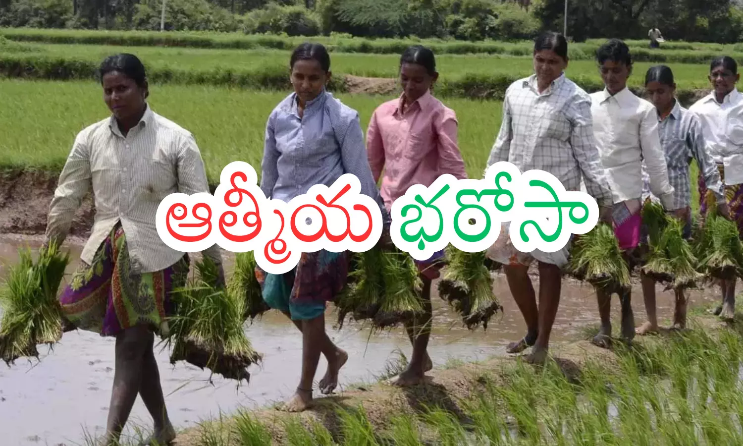 revanth reddy,  good news,  women, telangana