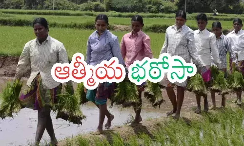 revanth reddy,  good news,  women, telangana