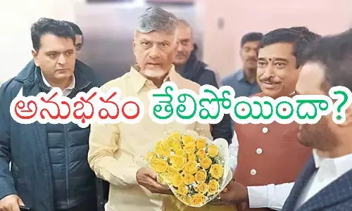davos, nvestment, chandrababu, andhra pradesh