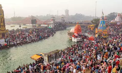 godavari, pushkaras, finalized, andhra pradesh