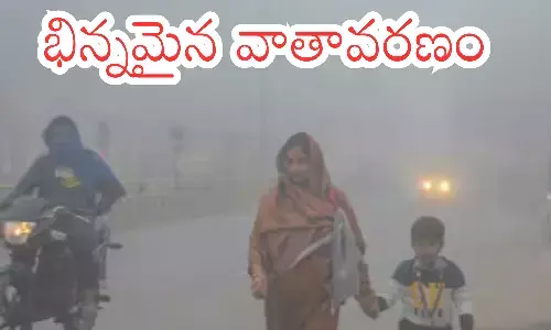 cold intensity, increase, fog, telangana