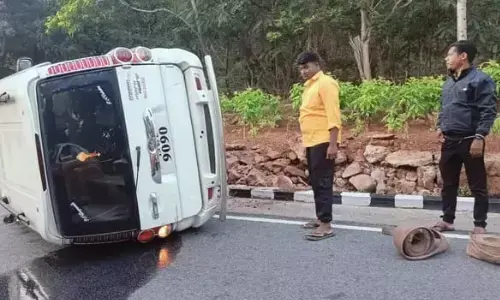 accidents, devotees, terrorizing, tirumala