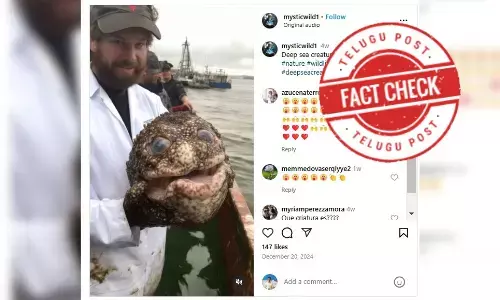 AI,sea,viralvideo,holdingfish