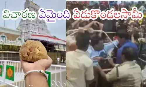 inqury, laddu adulterated, stampade, tirumala