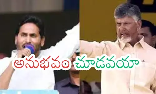 chandrababu, ys jagan,difference, ap politics