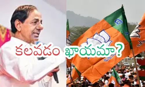kcr,  brs chief, bjp,  telangana