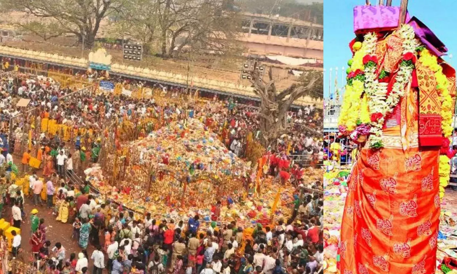 medaram, mini jathara,  start , today