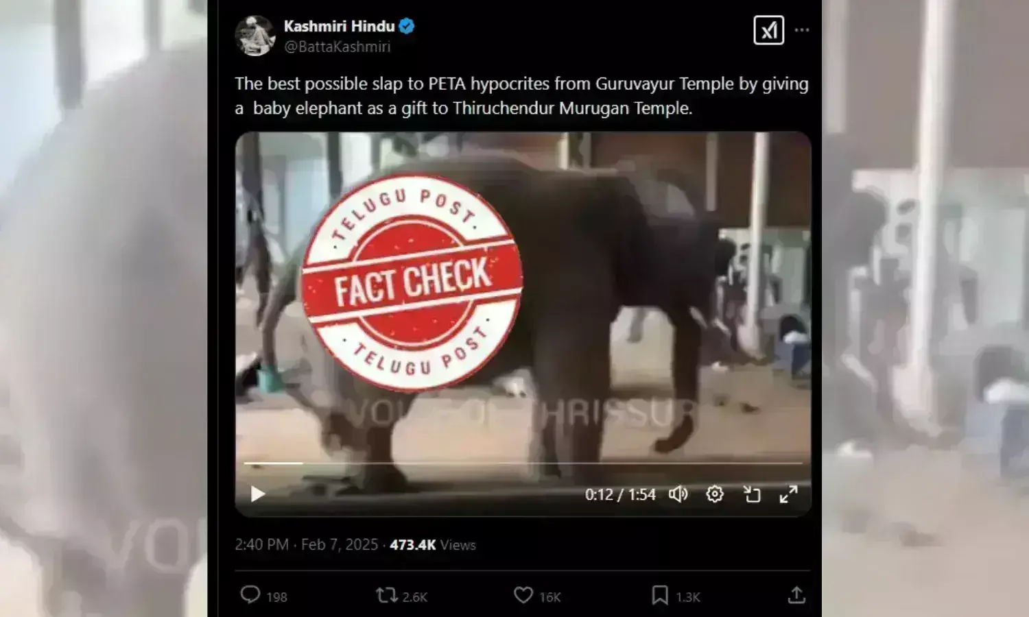 ELEPHANT GURUVAYOOR PETA