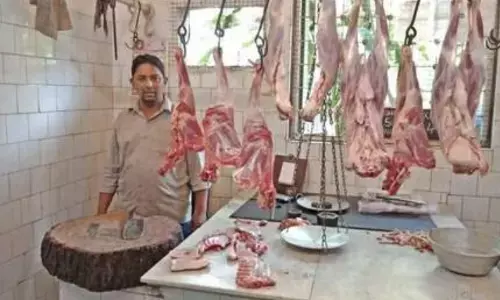 chicken, prices, bird flu,  mutton and fish