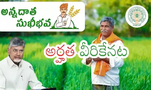 government, crop investment assistance, farmers,  andhra pradesh