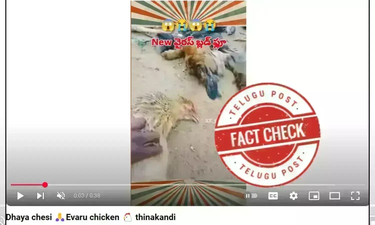 chicken,bird flue, chicken  emitting fire