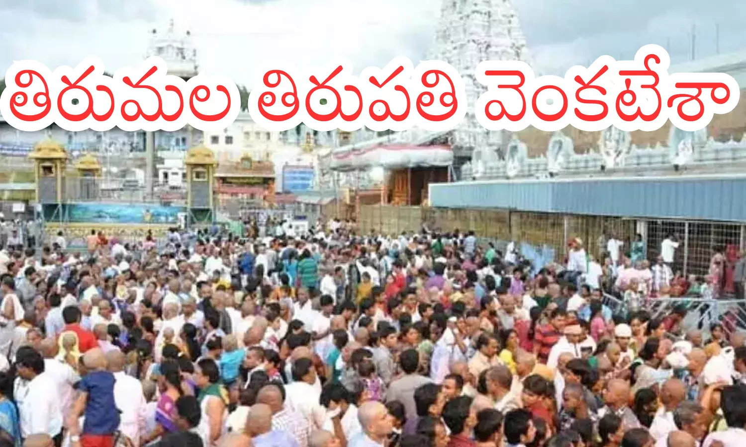 darsan time today in  tirumala, crowd, devotees,  tuesday