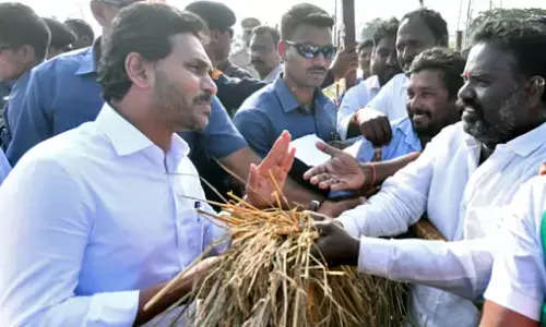 ys jagan, ysrcp chief, mirchi yard,  guntur