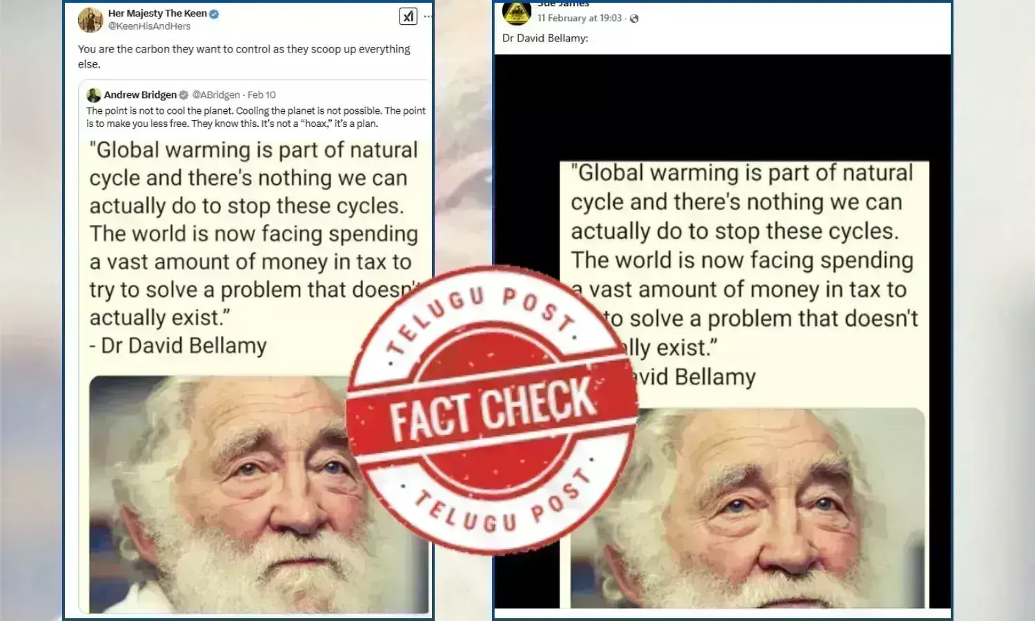 Fact Check: Botanists statement that humans do not affect global warming is false