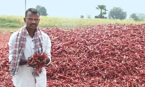 central government,good news, andhra pradesh