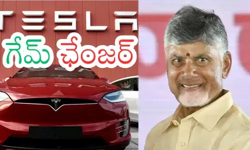 chandrababu,  tesla company, elon musk, andhra pradesh