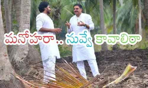 nadendla manohar, pawan kalayn, janasena, ap politics