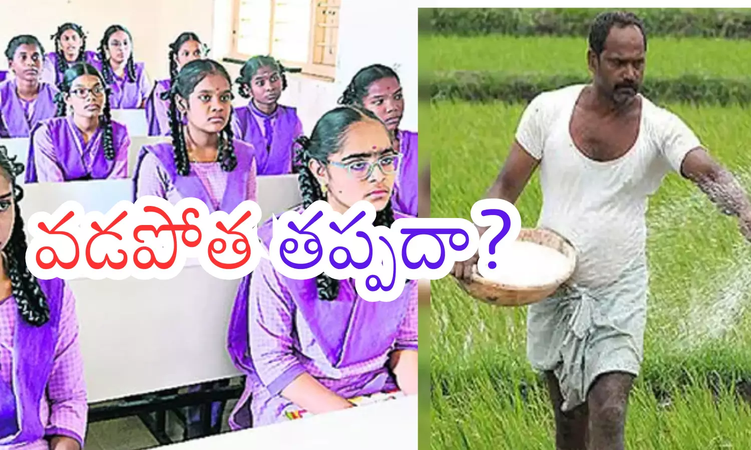 anna datha sukhibhava, talliki vandanam, budget, beneficiaries