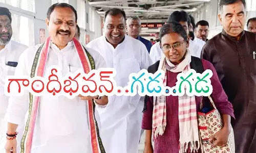 meenakshi natarajan, in-charge, congress, telangana