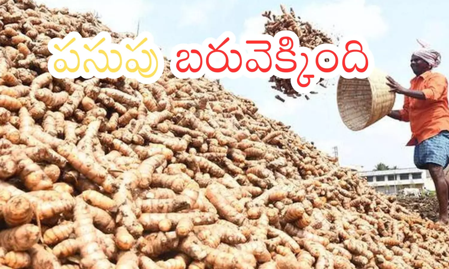 turmeric, prices, farmeers, telangana