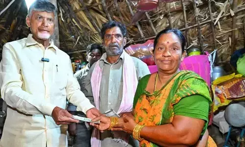 chandrababu naidu,  chittoor, nellore, pensions