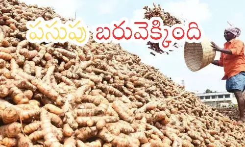 turmeric, prices, farmeers, telangana