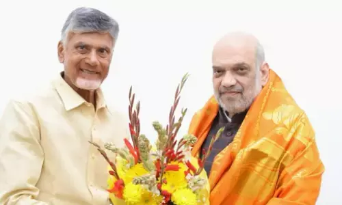 chandrababu, chief minister, amith shah, delhi