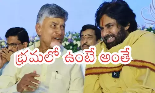 government, illusio, feel good, andhra pradesh