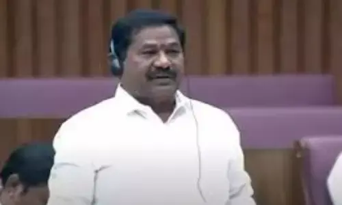 dola bala veeranjaneyaswamy, minister, volunteer system, andhra pradesh